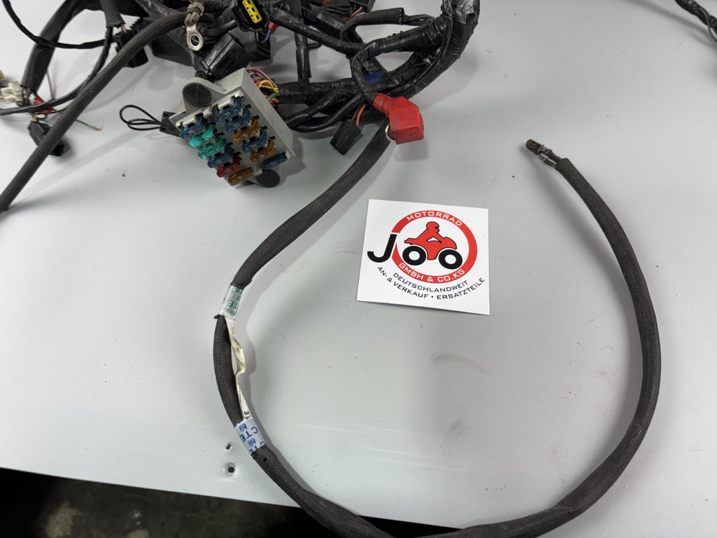 Triumph Daytona 955i T595 N 2002 Kabelbaum Stecker Cable Electric