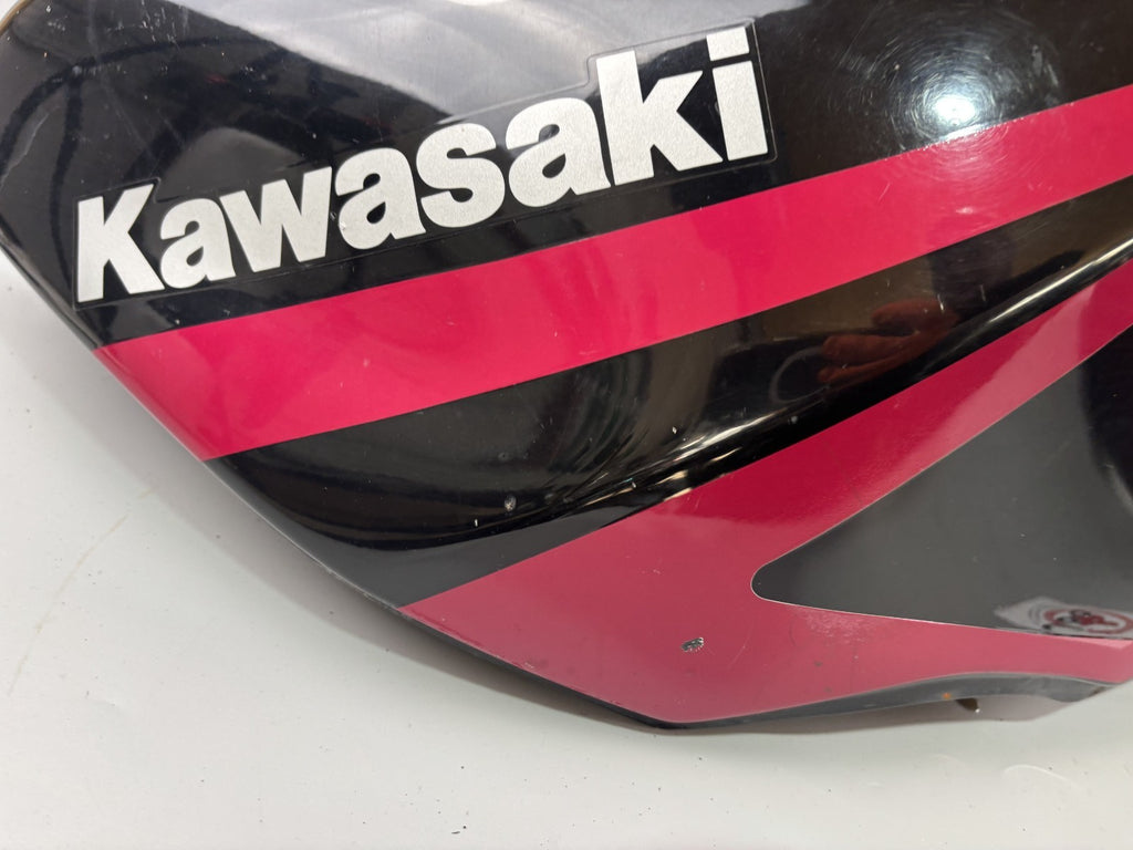 Kawasaki ZZR600D ZX600D Tank Benzintank Kraftstofftank Fuel Gasoline