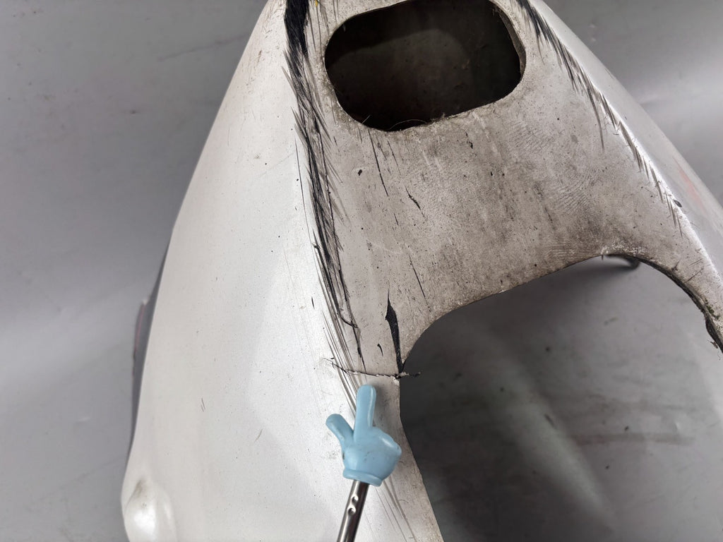 Yamaha FJ1200 3CW 3YA Bug Bugspoiler Verkleidung Cover Abdeckung Motor Engine