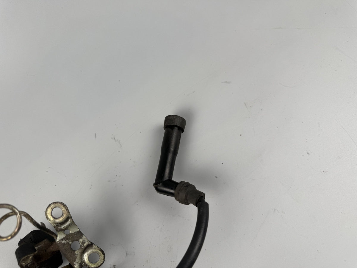 Honda XL600R PD03 Zündspule Ignition Zündstecker Electric Motor Engine