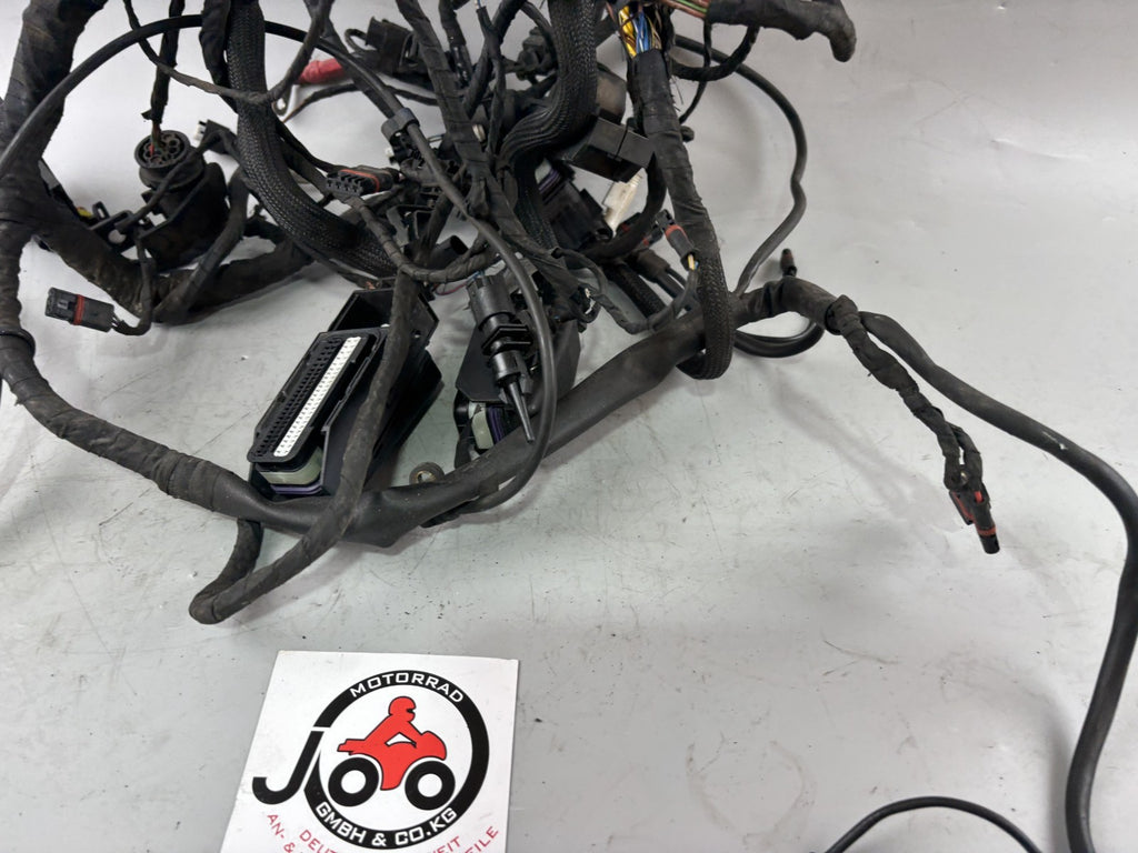 BMW F800 S Kabelbaum Kabelstrang Cable Stecker Electric
