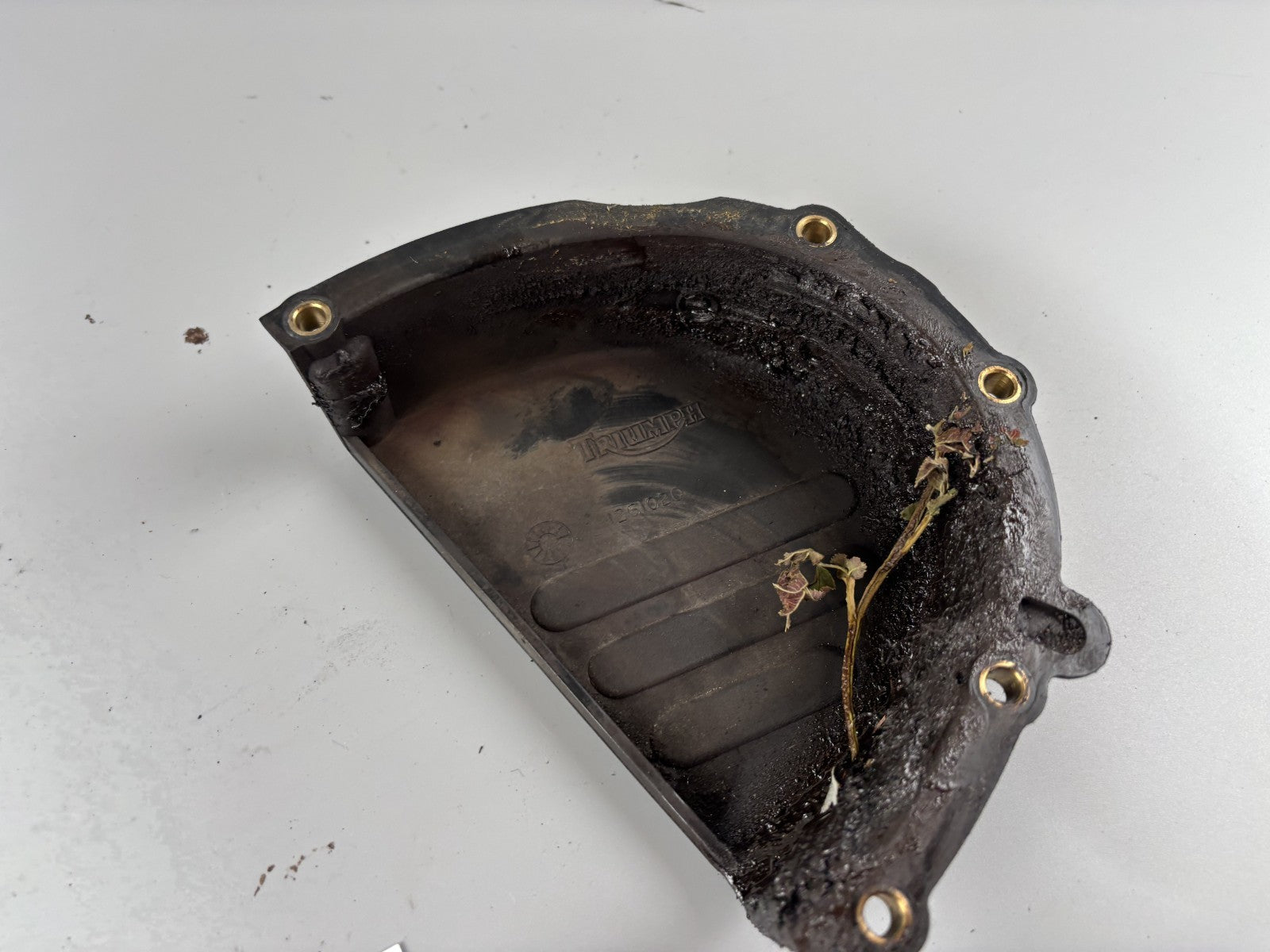 Triumph Daytona 955i T595 N 2002 Ritzelabdeckung Motordeckel Abdeckung Cover