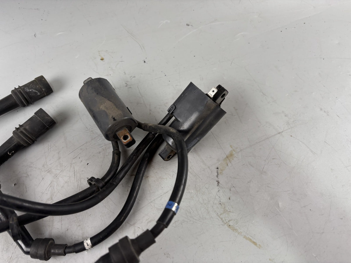 Yamaha FZS600 Fazer RJ02 Zündspule Zündstecker Zündkabel Ignition