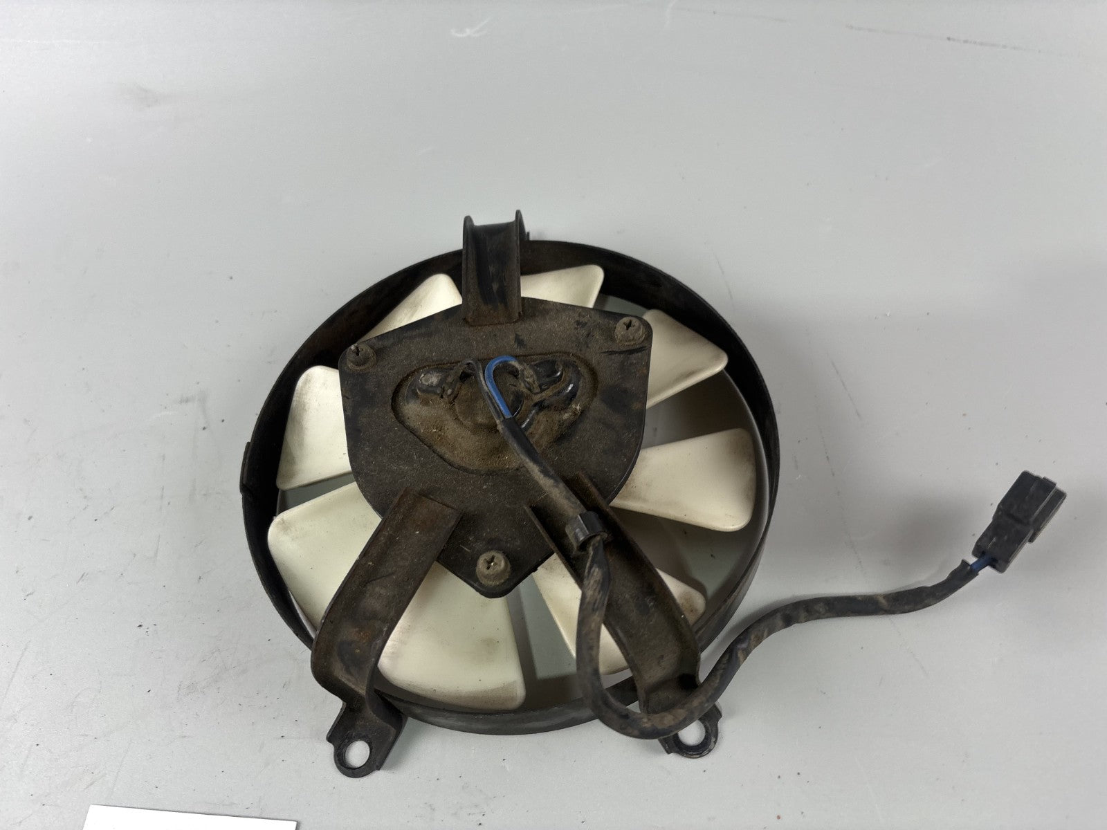 Kawasaki ZZR600D ZX600D Wasserkühler Lüfter Ventilator Lüftung