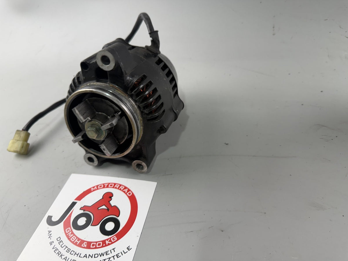 Triumph Speed Triple 900 T300B Lima Lichtmaschine Lightmachine Generator Stator