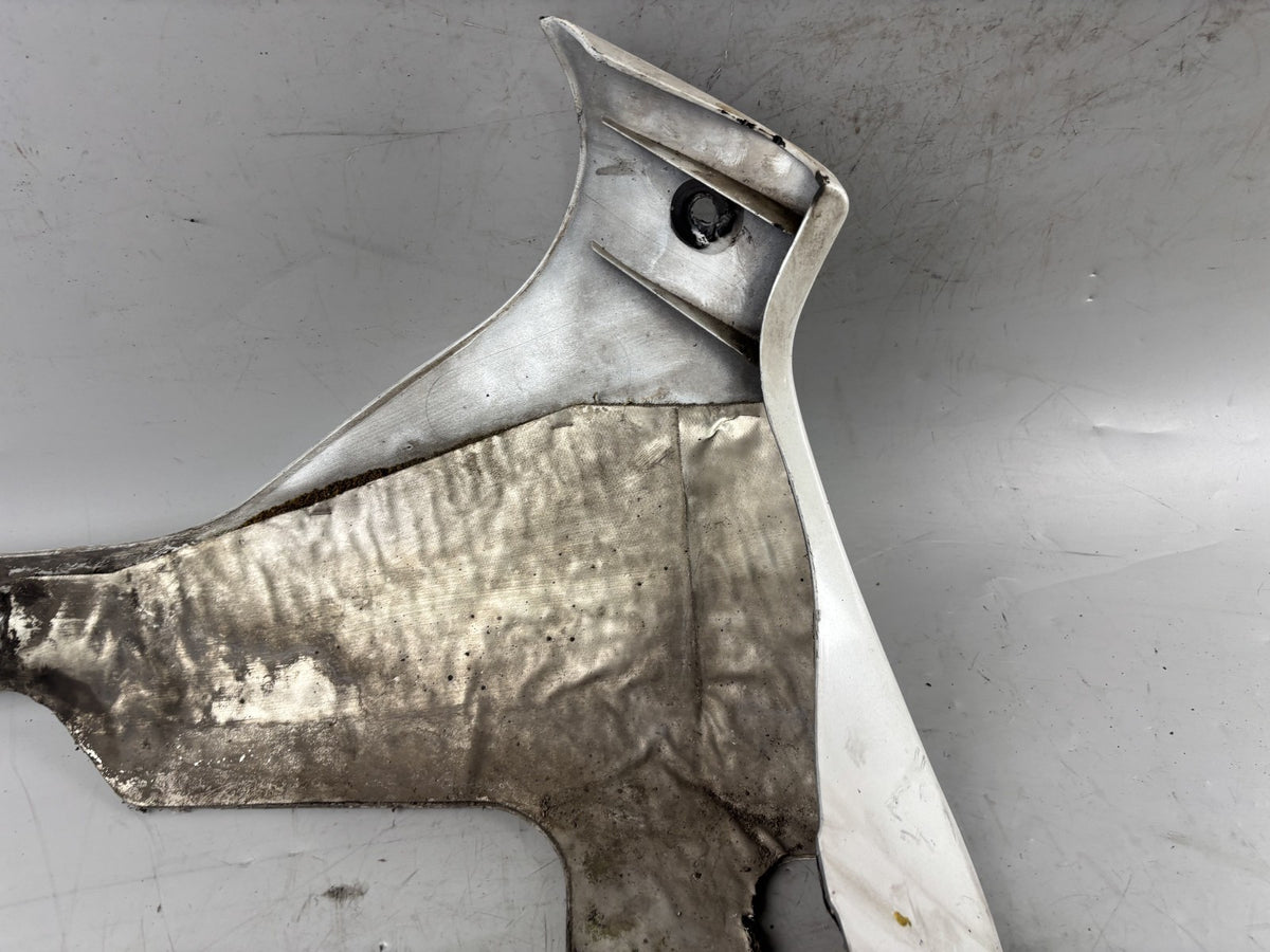 Yamaha FJ1200 3CW 3YA Bug Bugspoiler Verkleidung Cover Abdeckung Motor Engine