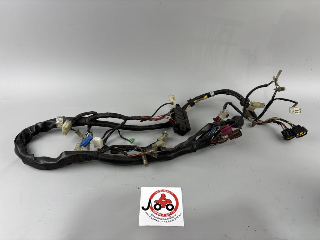 Yamaha FZS600 Fazer RJ02 Kabelbaum Cable Electric Stecker Motor Engine