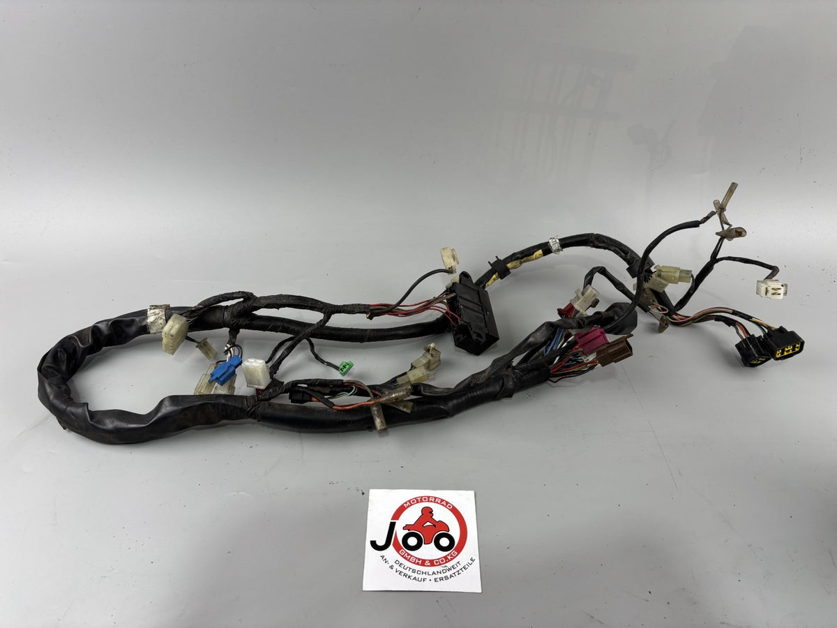 Yamaha FZS600 Fazer RJ02 Kabelbaum Cable Electric Stecker Motor Engine