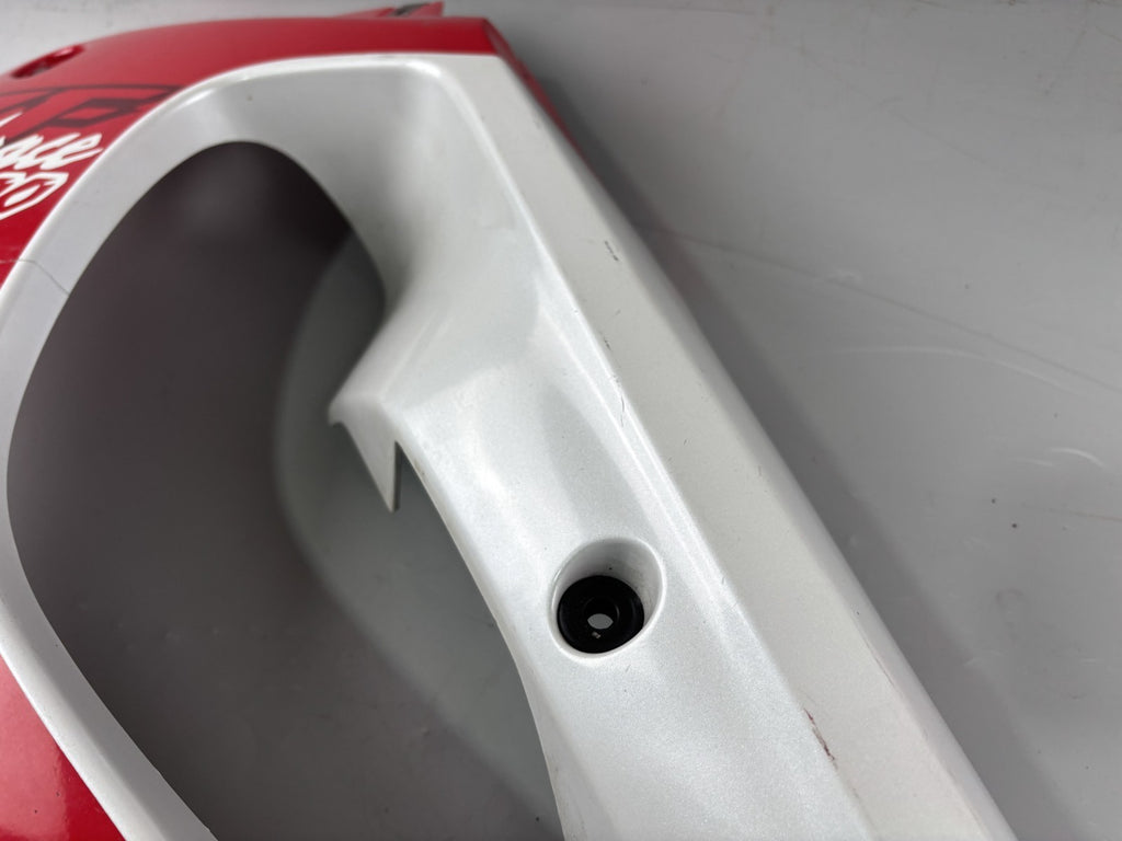 Yamaha YZF 1000 R Thunderace Seitenverkleidung Seitenteil Cover rechts links le