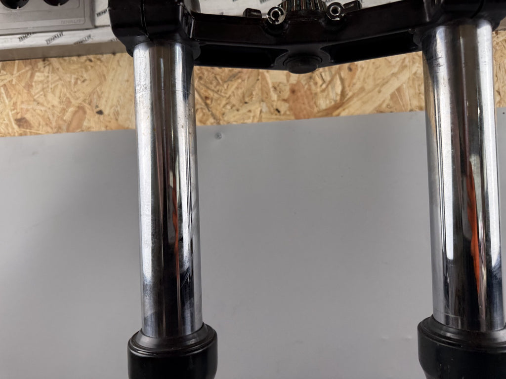 Triumph Daytona 1200 T300D Gabel Tauchrohr Standrohr Fork Absorber Federung vorn