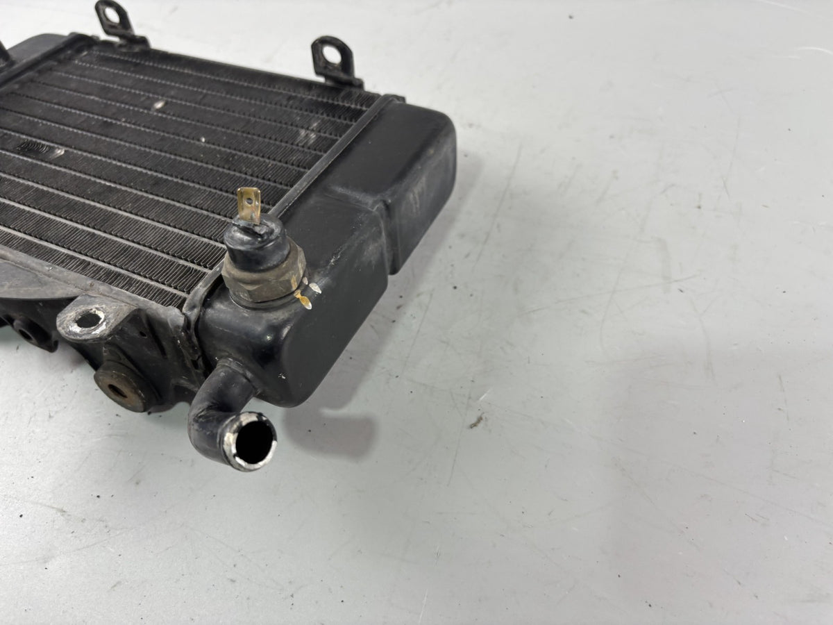 Honda Transalp XL 600 V PD06 Wasserkühler Watercooler liquid Kühlung Cooler
