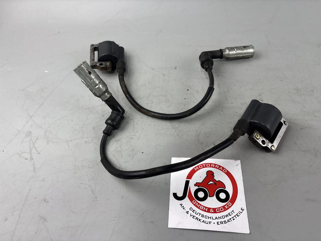 BMW F650 169 Zündspulen Zündstecker Ignition Zündkabel Electric