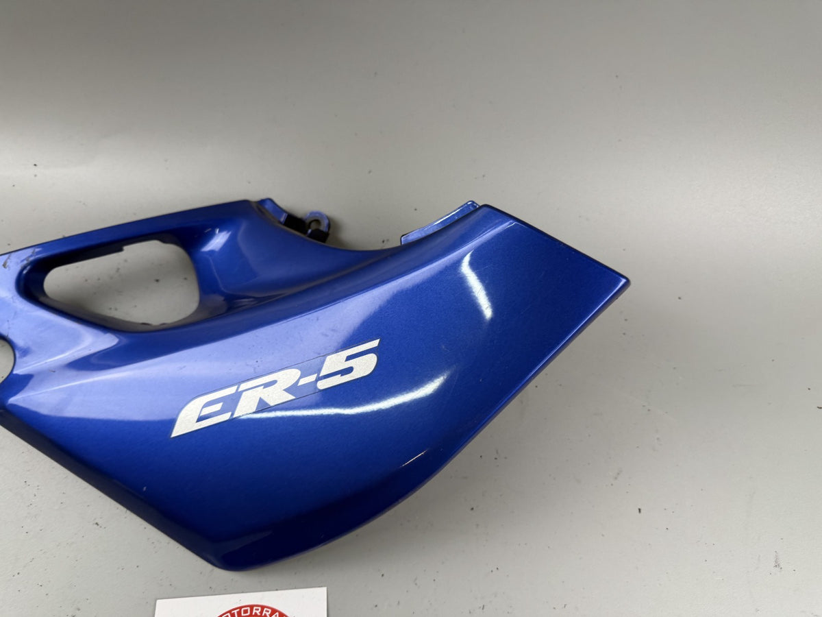 Kawasaki ER 5 ER500A Seitenverkleidung Sidecover Seitenteil Cover links left