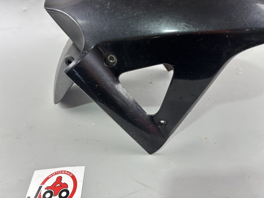 BMW F 650 CS Scarver Spritzschutz Radlauf Fender Verkleidung vorne Schutzblech