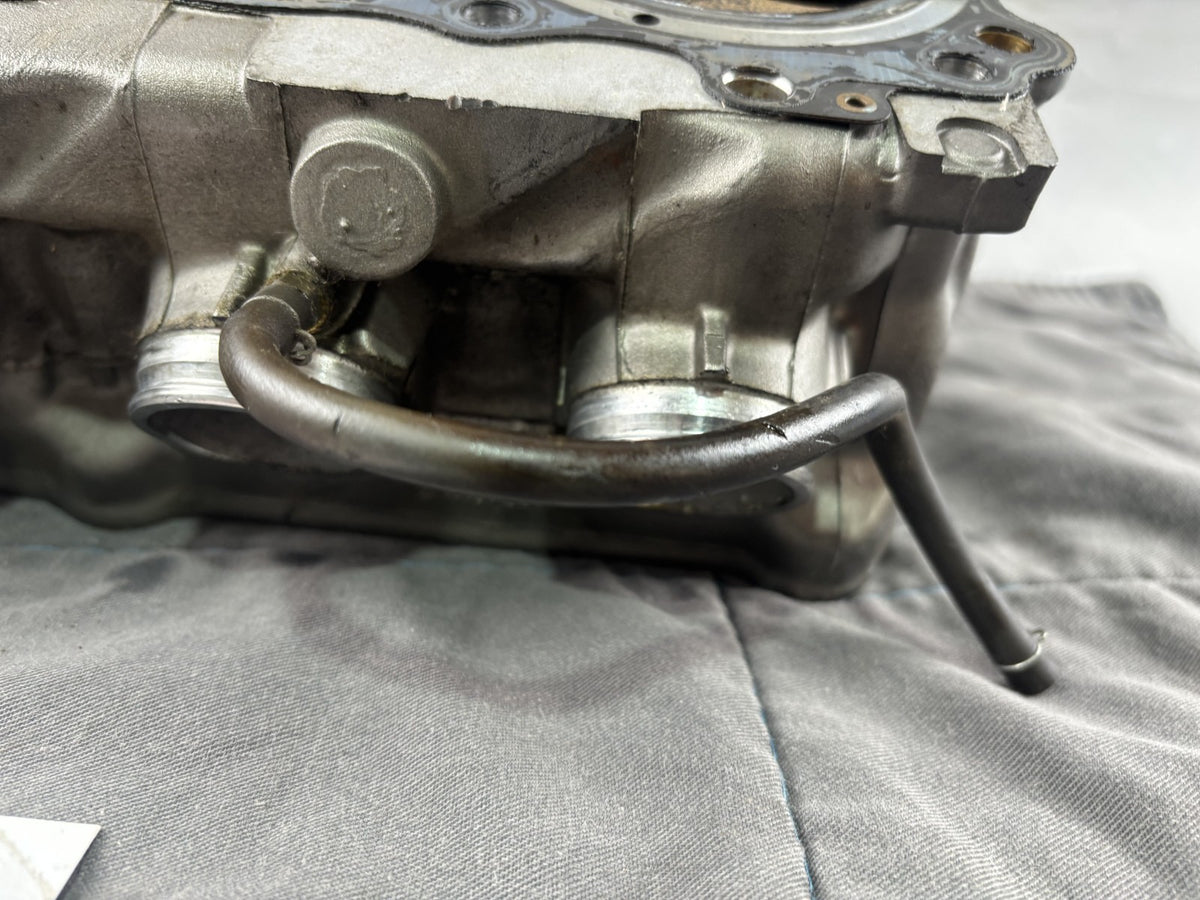 Honda CB 600 F Hornet PC34 Zylinderkopf Cylinder Head Motor Engine