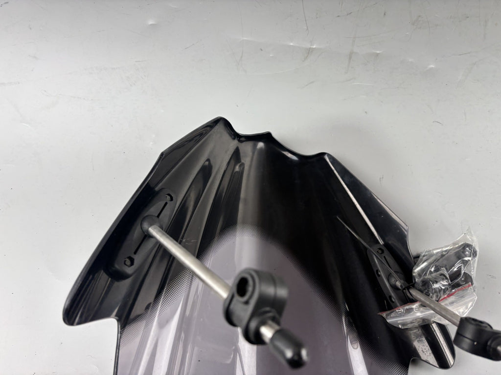 Kawasaki ZRX1100 ZRT10C Windschild Windshield Windschutzscheibe front Maske