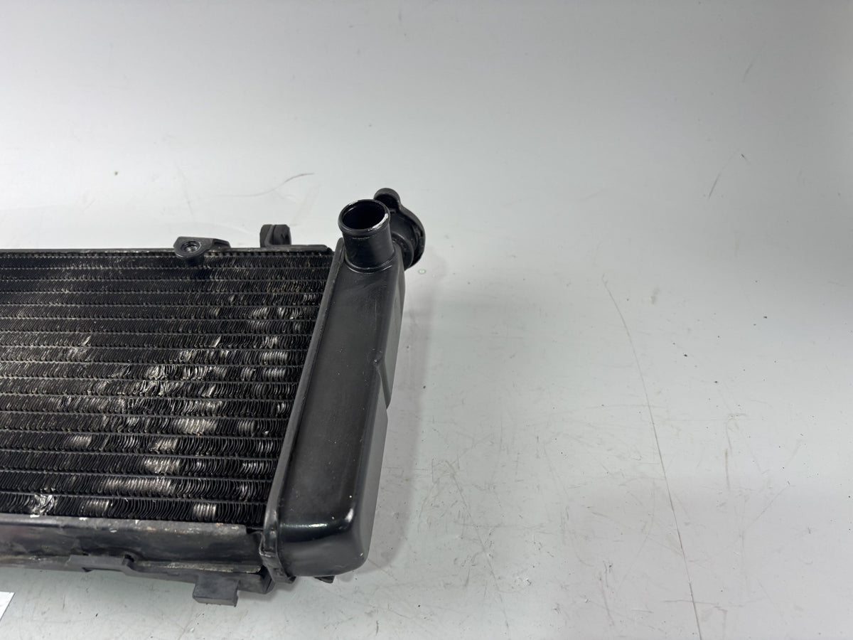 Honda VFR750 F Rc36/2 Wasserkühler Watercooler Liquid Motor Engine Kühlung