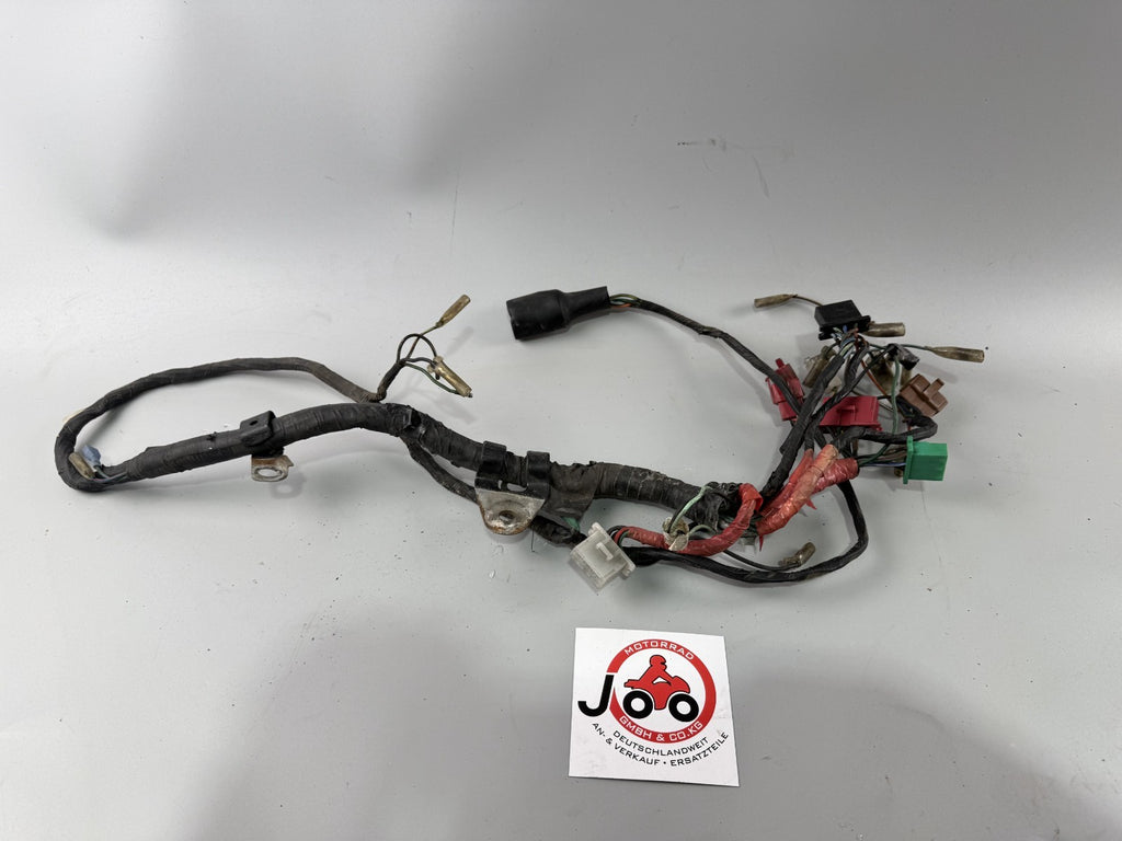 Honda CX500 Güllepumpe Kabelbaum Cable Stecker Kabelstrang Electric