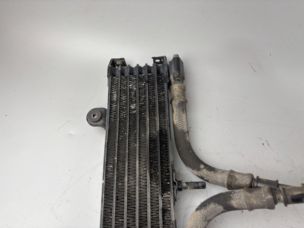 Yamaha XJR1300 RP02 Kühler Cooler Oilcooler Ölkühler Engine