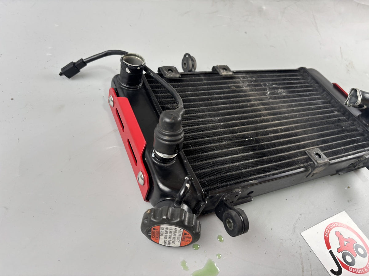 Suzuki SV650 N AV Wasserkühler Cooler Watercooler Liquid Motor Engine