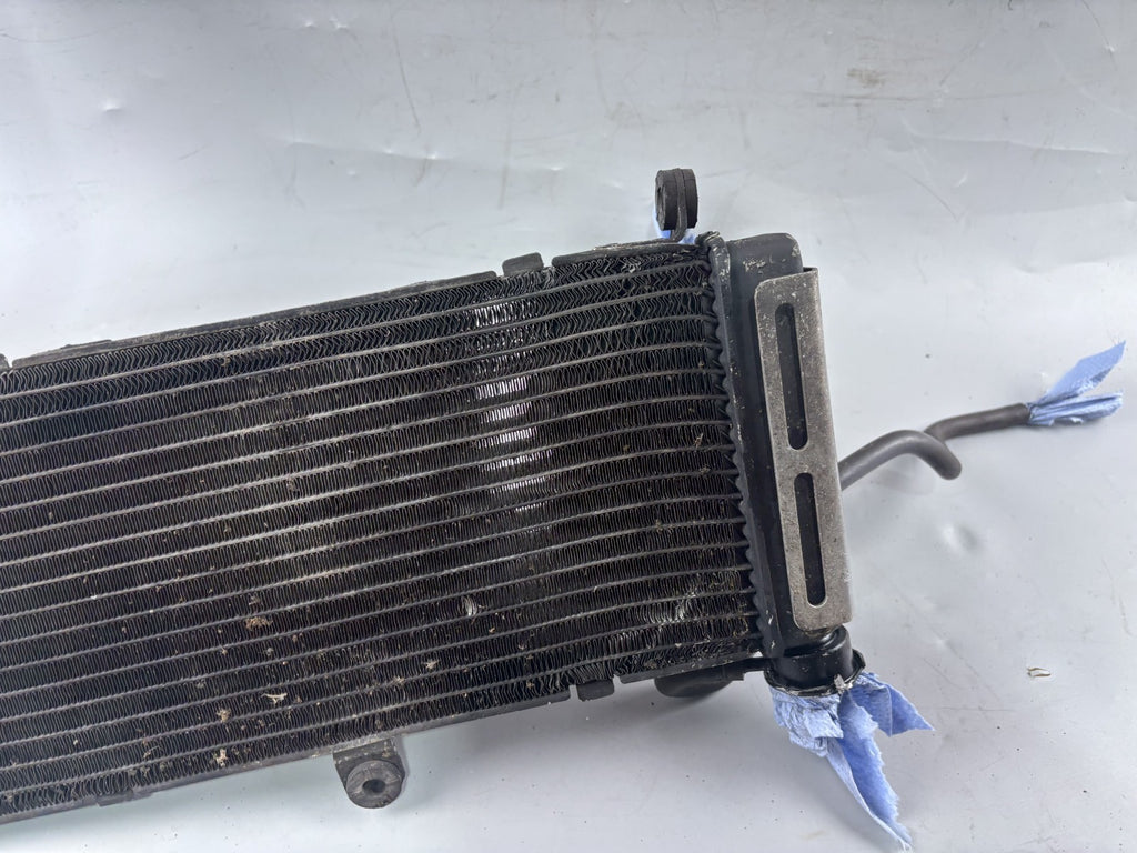 Honda CB 600 F Hornet PC34 Wasserkühler Watercooler Liquid Kühlung Engine