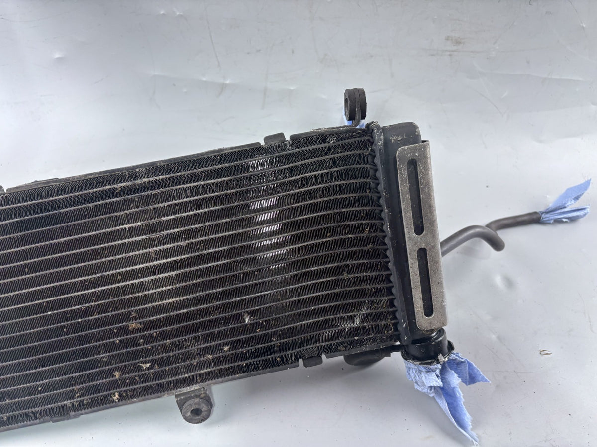 Honda CB 600 F Hornet PC34 Wasserkühler Watercooler Liquid Kühlung Engine