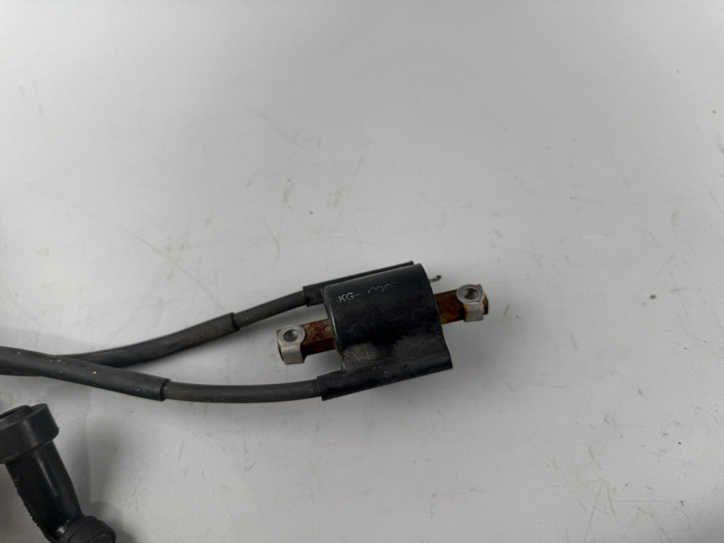 Yamaha XJR1300 RP02 Zündspulen Zündung Ignition Zündstecker Zündkabel