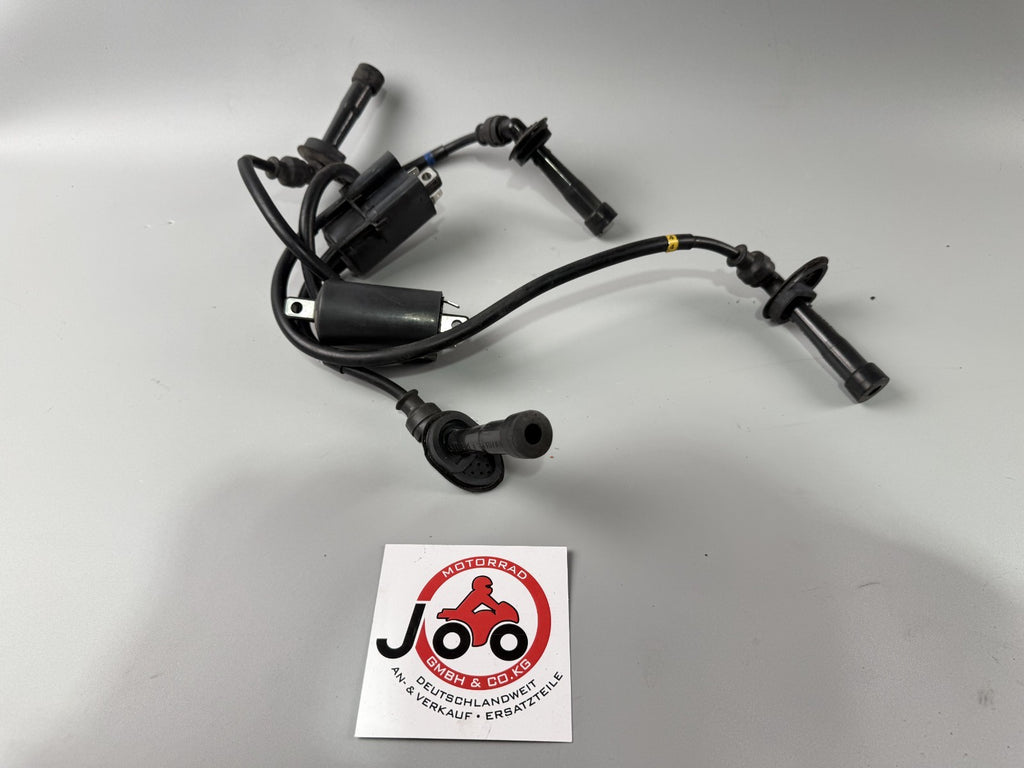 Suzuki GSF 600 Bandit POP WVA8 Zündspule Zündstecker Zündkabel Ignition