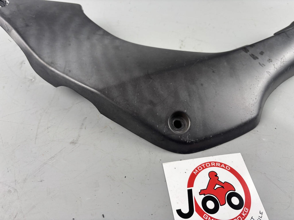 Honda CB 600 F Hornet PC34 Seitenverkleidung Sidecover Abdeckung links left