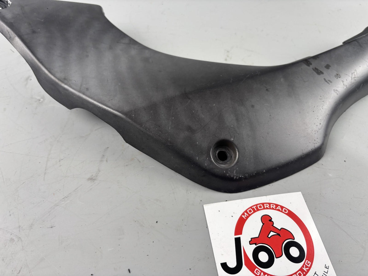 Honda CB 600 F Hornet PC34 Seitenverkleidung Sidecover Abdeckung links left
