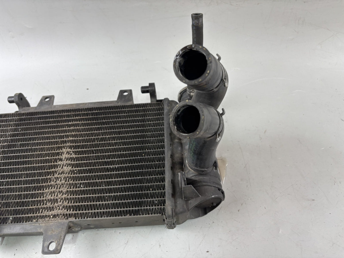 BMW F800 S Wasserkühler Watercooler Liquid Engine Motor Kühlung