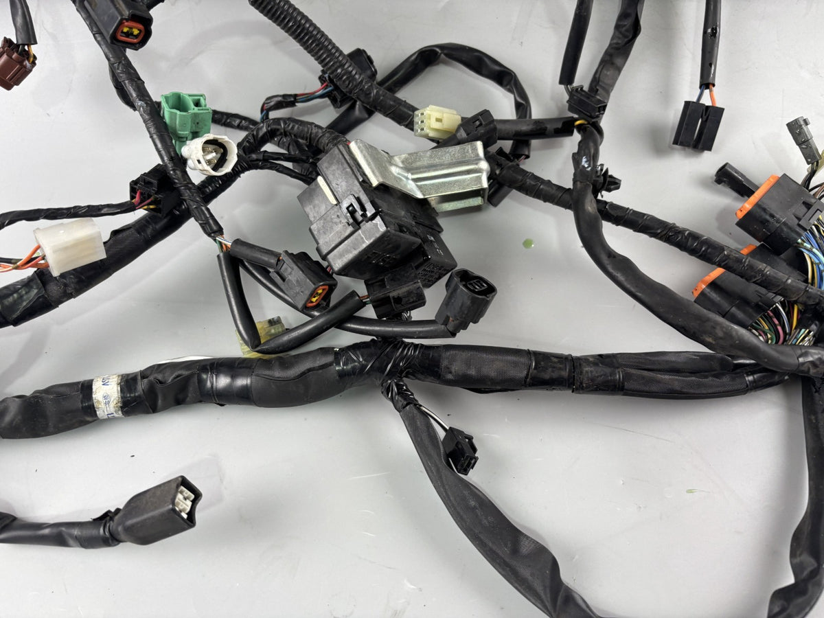 Suzuki GSX 650 F FA WVCJ Kabel Kabelstrang Kabelbaum Electric