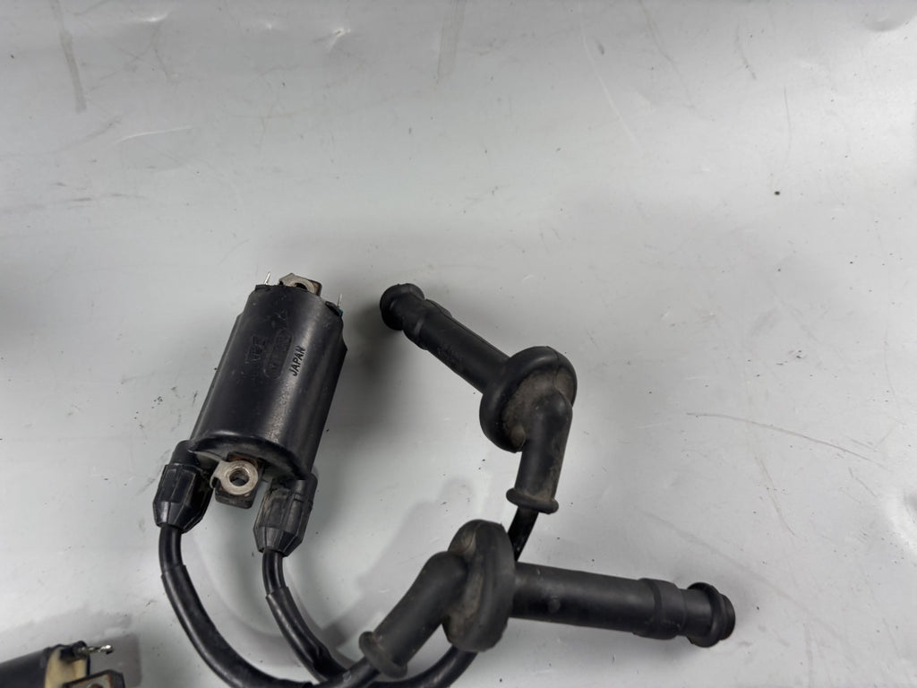 Honda CB 600 F Hornet PC34 Zündspule Zündkabel Zündstecker Ignition Electric