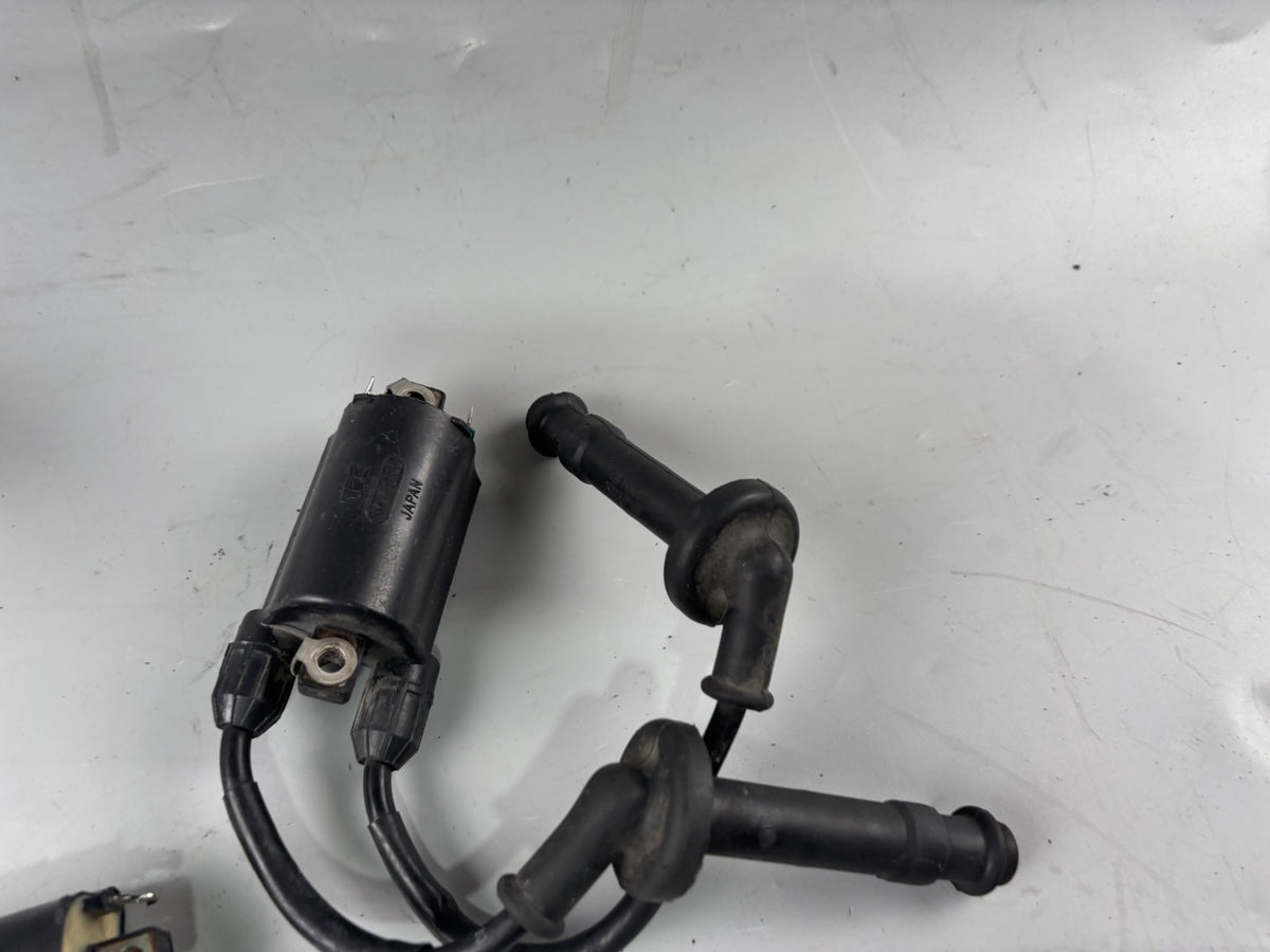 Honda CB 600 F Hornet PC34 Zündspule Zündkabel Zündstecker Ignition Electric