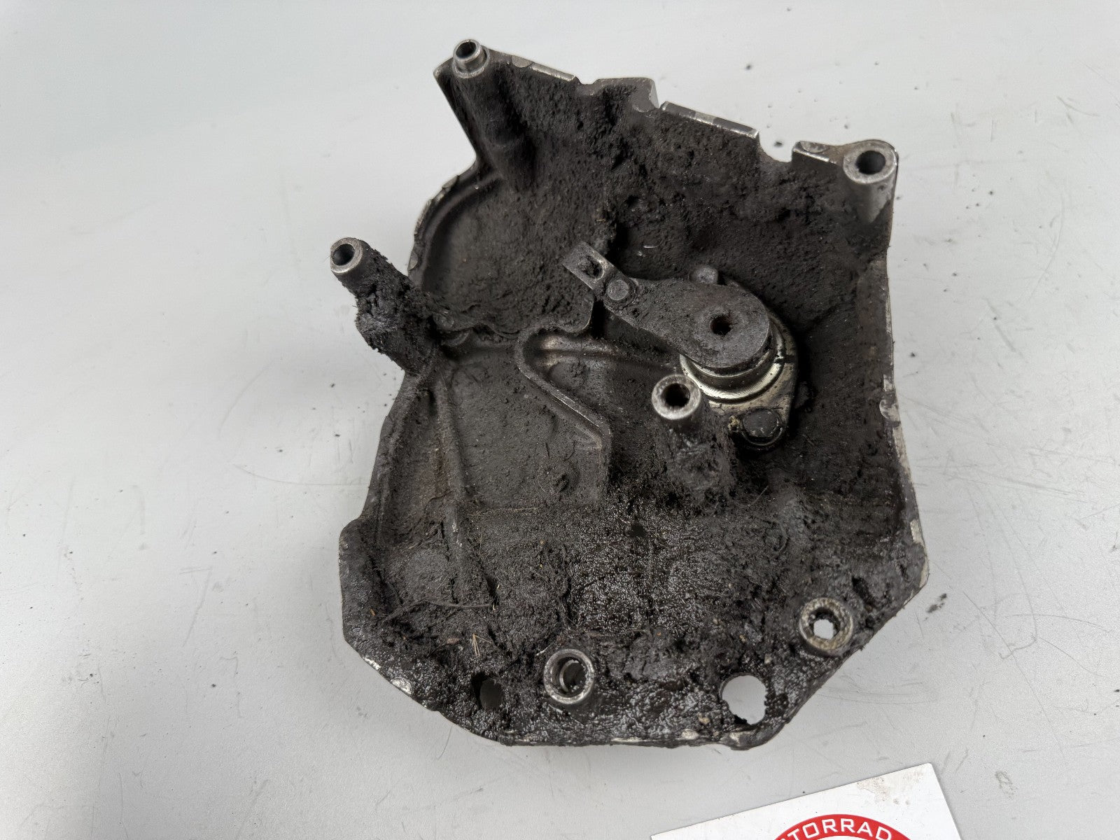 Suzuki GSF600 GN77B Bandit Ritzelabdeckung Motordeckel Cover Engine