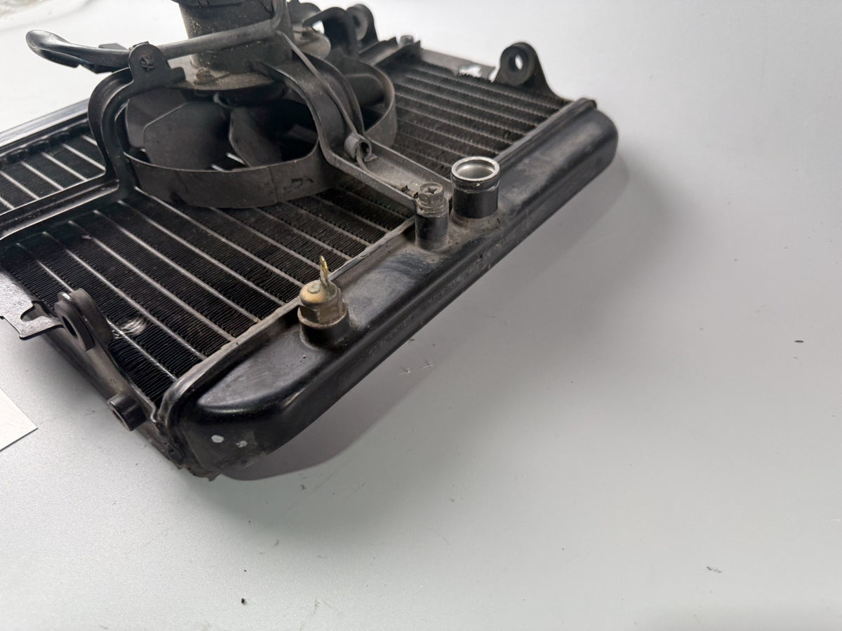 Kawasaki ZL600 Eliminator Wasserkühler Watercooler Liquid Kühlung