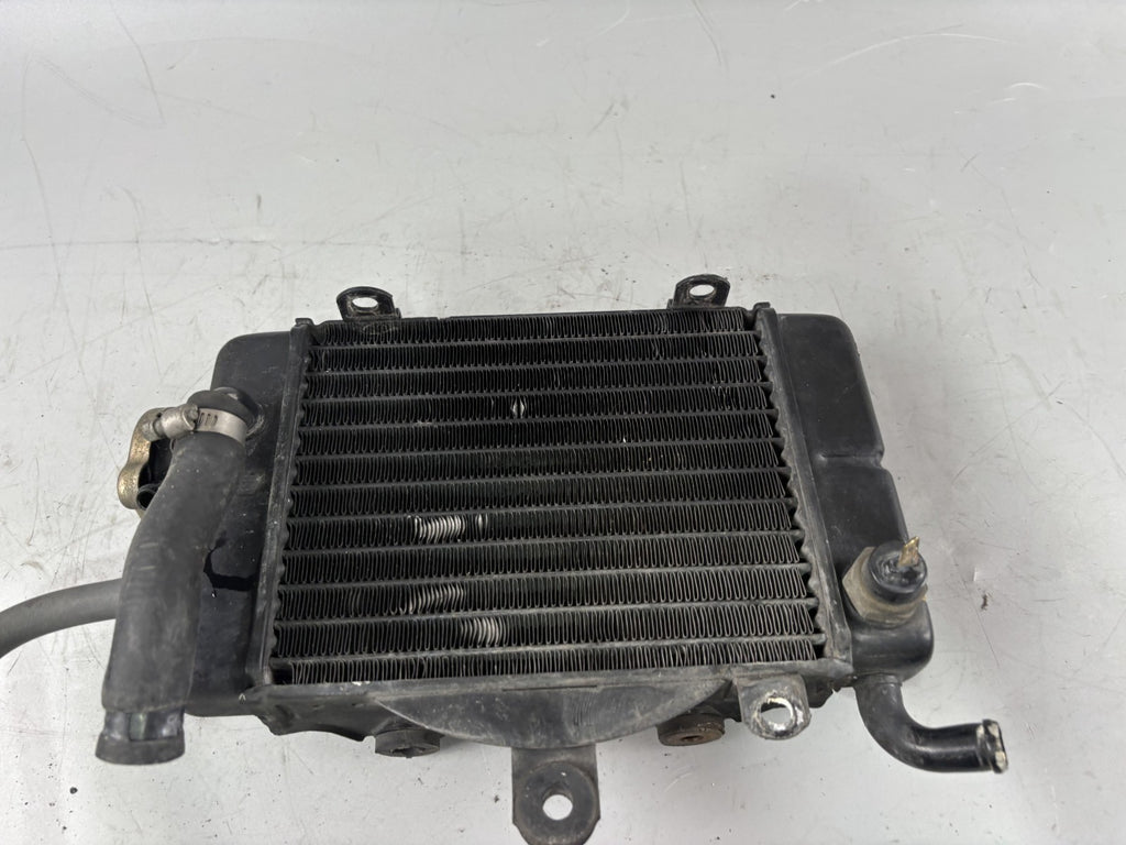 Honda Transalp XL 600 V PD06 Wasserkühler Watercooler liquid Kühlung Cooler