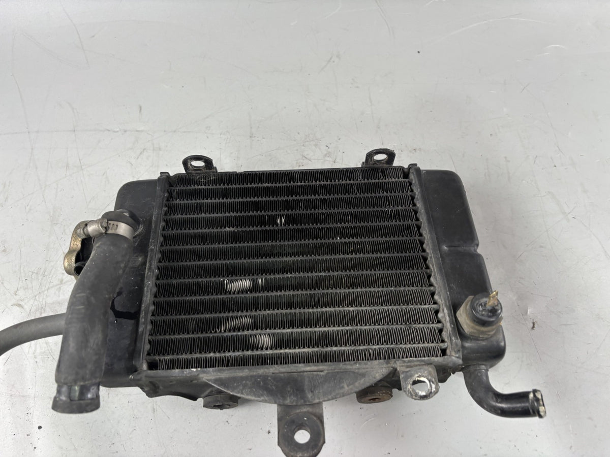 Honda Transalp XL 600 V PD06 Wasserkühler Watercooler liquid Kühlung Cooler