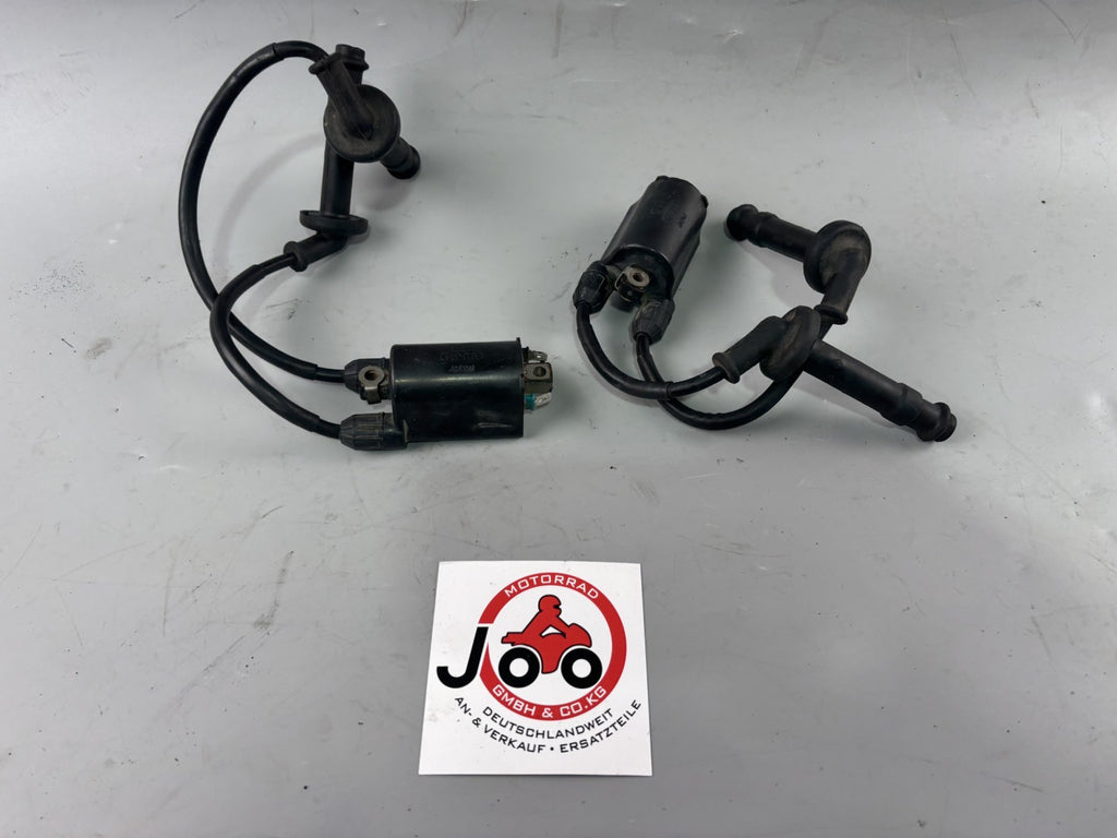 Honda CB 600 F Hornet PC34 Zündspule Zündkabel Zündstecker Ignition Electric