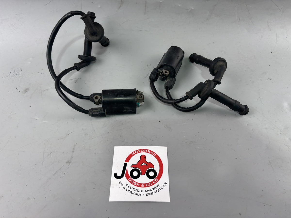 Honda CB 600 F Hornet PC34 Zündspule Zündkabel Zündstecker Ignition Electric