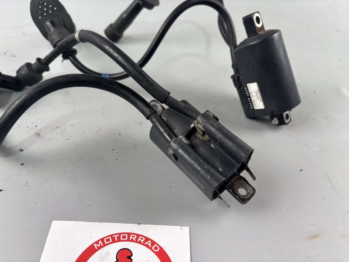 Suzuki GSX 1200 A3 Inazuma Zündspulen Zündstecker Zündkabel Ignition