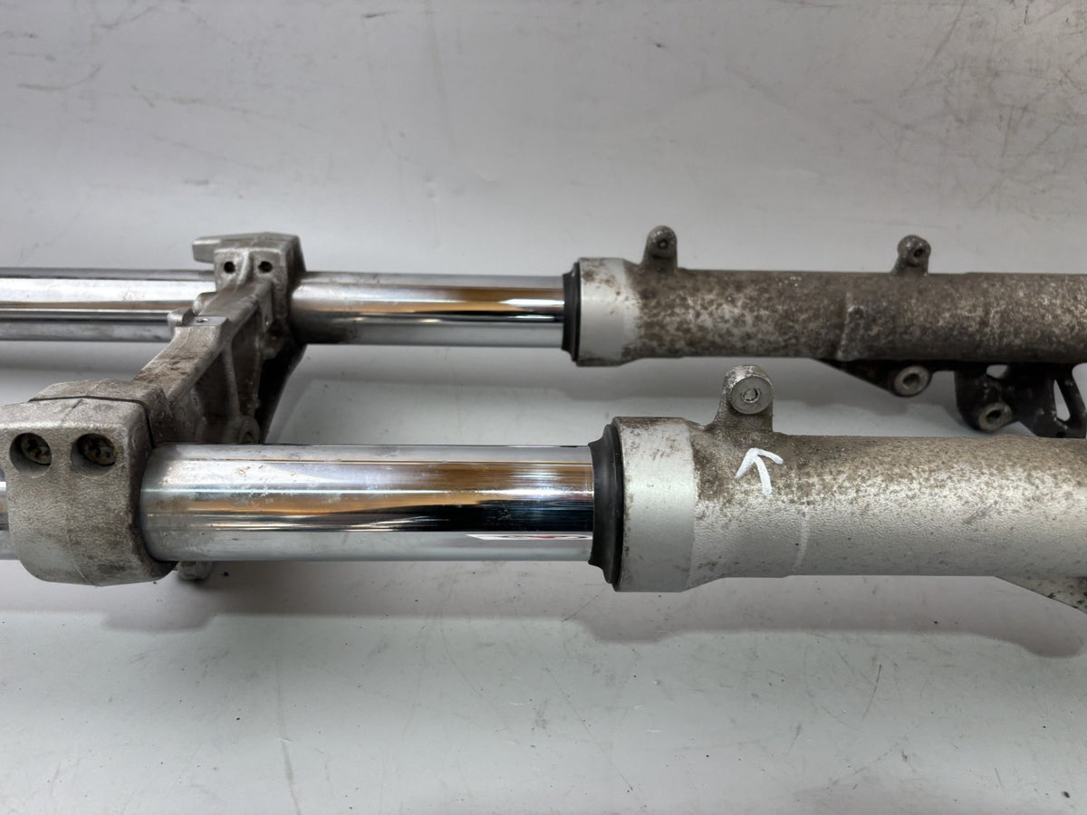 BMW F800 S Gabel Standrohr Tauchrohr Fork Asborber Federung Federbein Spring