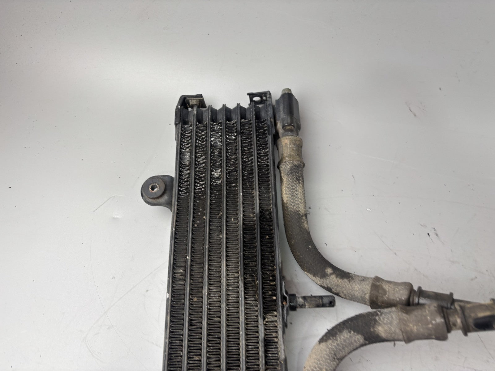 Yamaha XJR1300 RP02 Kühler Cooler Oilcooler Ölkühler Engine