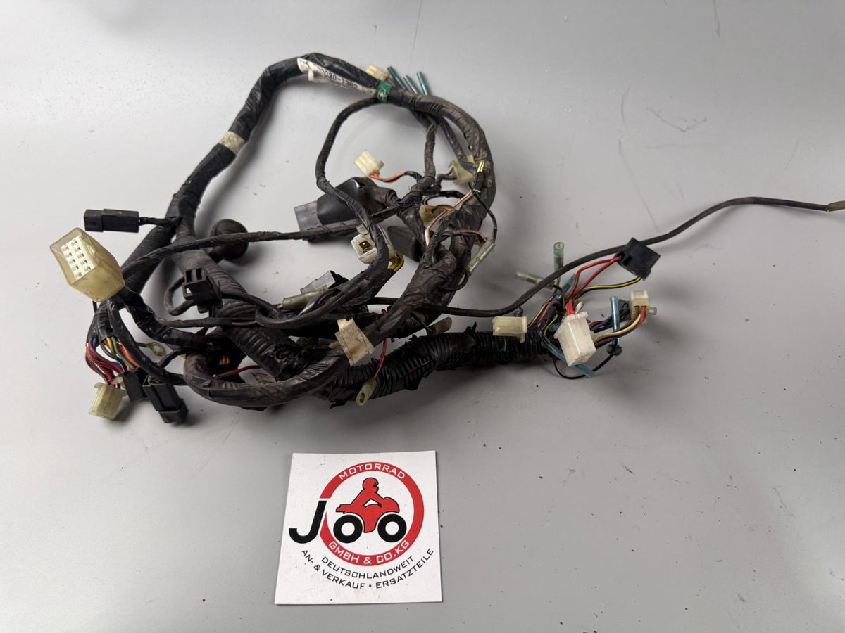 Kawasaki ZL600 Eliminator Kabelbaum Kabelstrang Electric Stecker