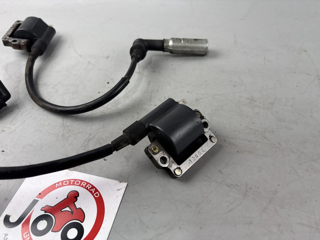 BMW F650 169 Zündspulen Zündstecker Ignition Zündkabel Electric
