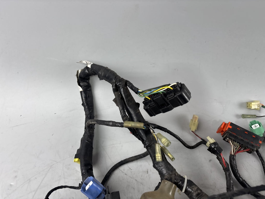 Honda CBF 600 S PC38 Kabelbaum Cable Stecker Kabelstrang