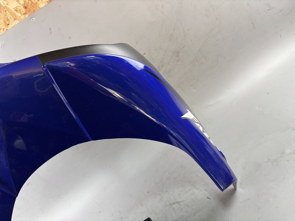 Yamaha FZS600 Fazer RJ02 Kanzel Maske front Verkleidung vorne Abdeckung Cover