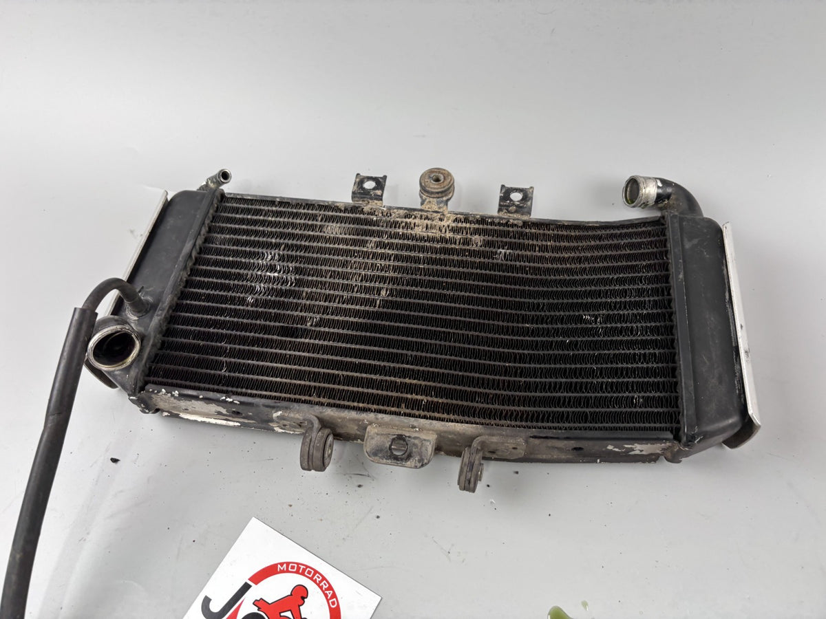 Yamaha FZS600 Fazer RJ02 Wasserkühler Watercooler Kühlung Cooler