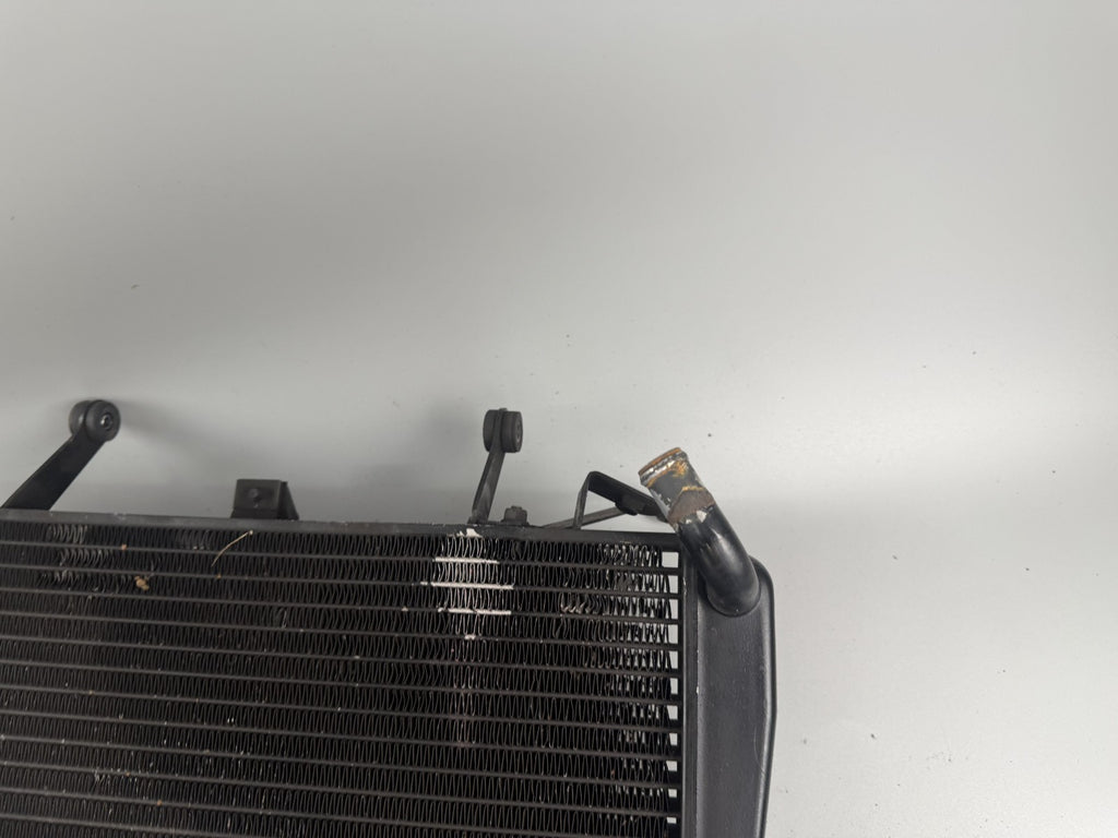 Triumph Sprint 955i ST T695 Wasserkühler Watercooler liquid Motor Engine Kühlung