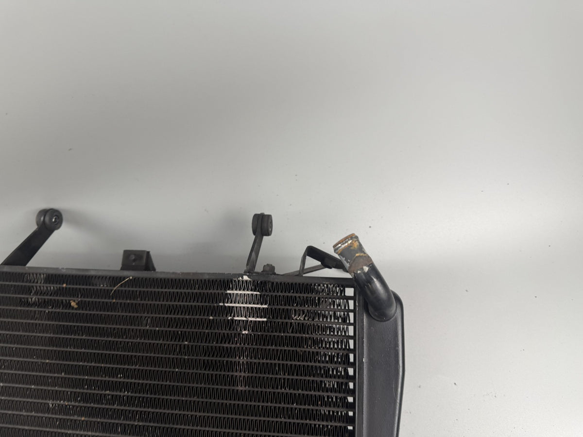 Triumph Sprint 955i ST T695 Wasserkühler Watercooler liquid Motor Engine Kühlung